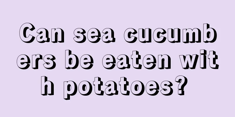 Can sea cucumbers be eaten with potatoes? 