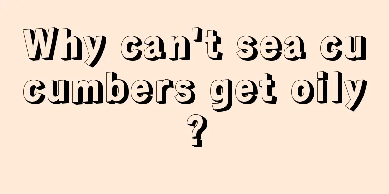 Why can't sea cucumbers get oily?