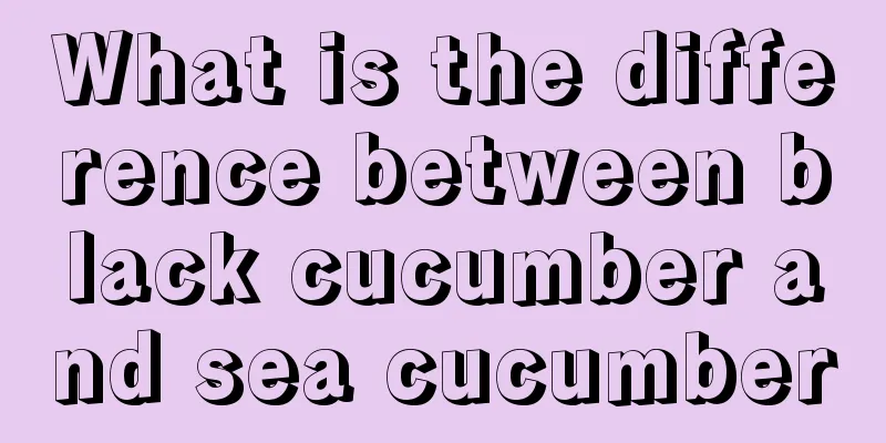 What is the difference between black cucumber and sea cucumber