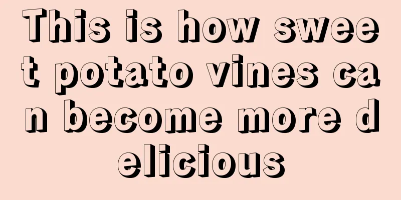 This is how sweet potato vines can become more delicious