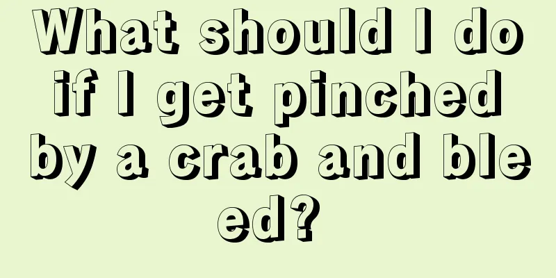 What should I do if I get pinched by a crab and bleed? 
