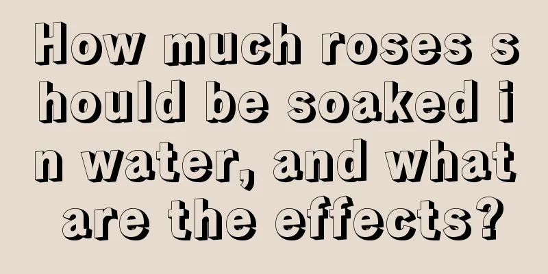 How much roses should be soaked in water, and what are the effects?