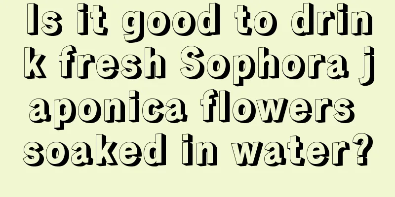 Is it good to drink fresh Sophora japonica flowers soaked in water?