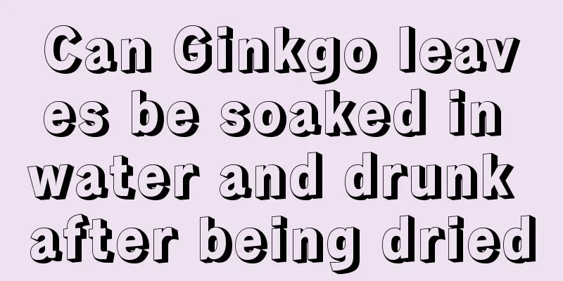 Can Ginkgo leaves be soaked in water and drunk after being dried