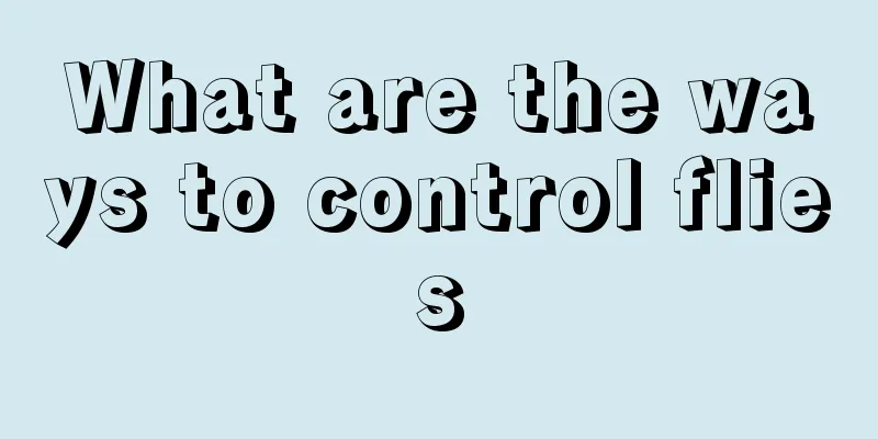 What are the ways to control flies