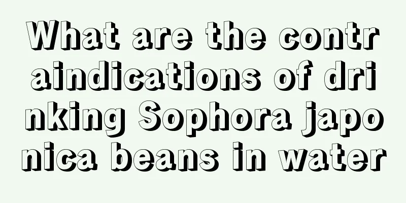 What are the contraindications of drinking Sophora japonica beans in water