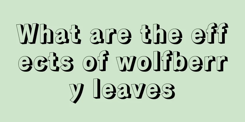 What are the effects of wolfberry leaves