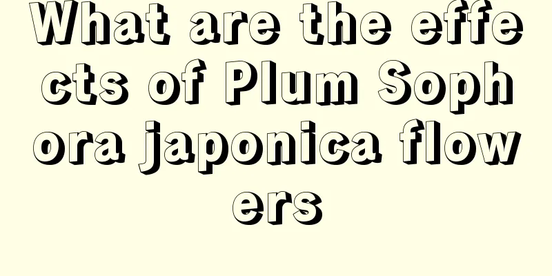 What are the effects of Plum Sophora japonica flowers
