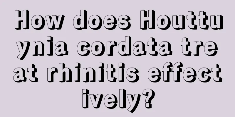 How does Houttuynia cordata treat rhinitis effectively?