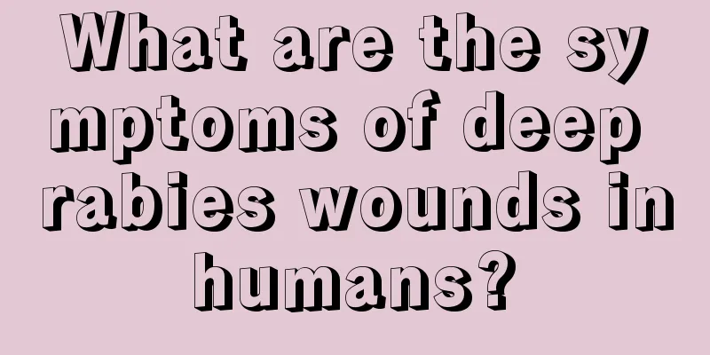 What are the symptoms of deep rabies wounds in humans? 