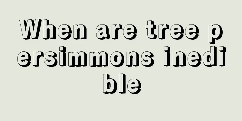 When are tree persimmons inedible