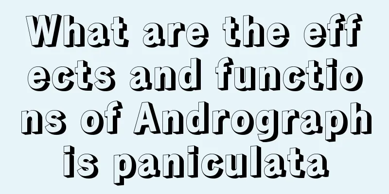 What are the effects and functions of Andrographis paniculata
