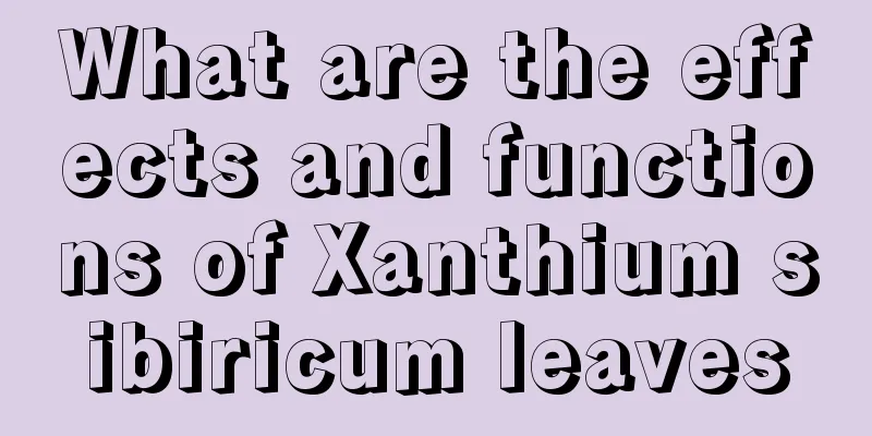 What are the effects and functions of Xanthium sibiricum leaves