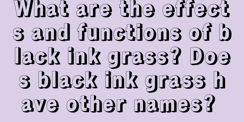 What are the effects and functions of black ink grass? Does black ink grass have other names? 