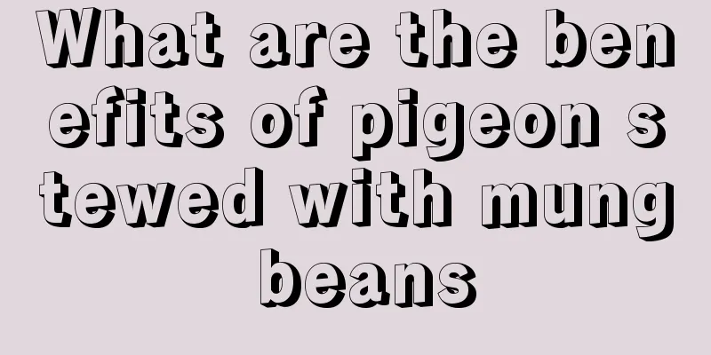 What are the benefits of pigeon stewed with mung beans