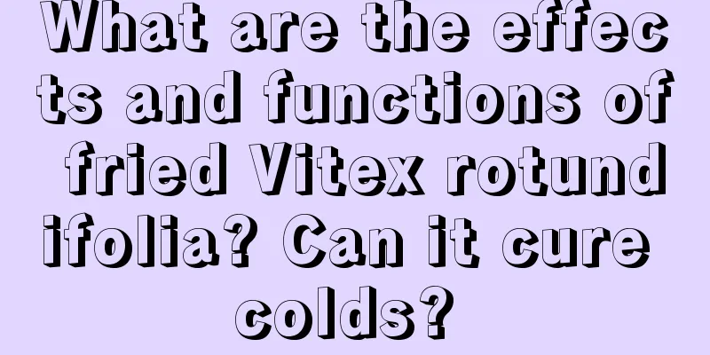 What are the effects and functions of fried Vitex rotundifolia? Can it cure colds? 