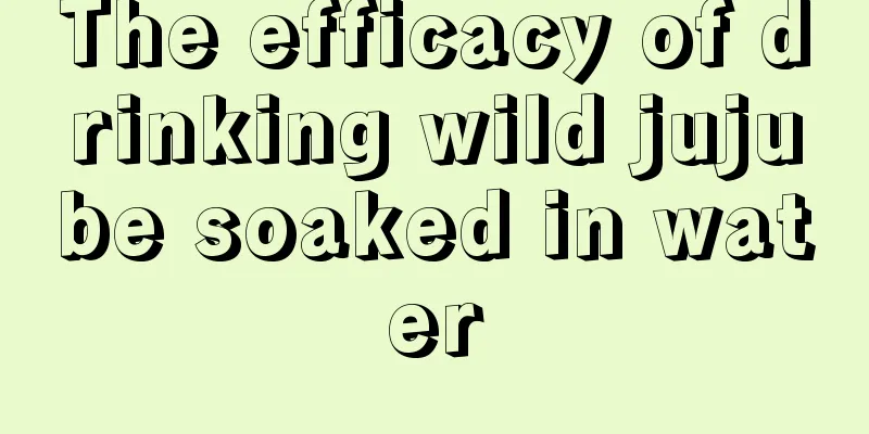 The efficacy of drinking wild jujube soaked in water