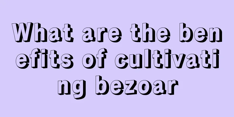 What are the benefits of cultivating bezoar