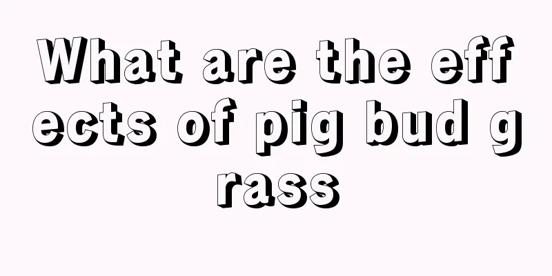 What are the effects of pig bud grass
