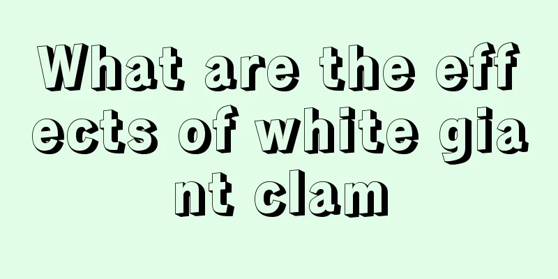 What are the effects of white giant clam