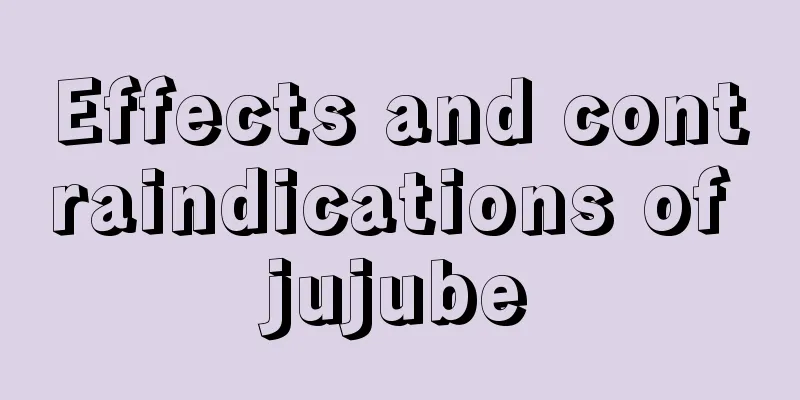 Effects and contraindications of jujube