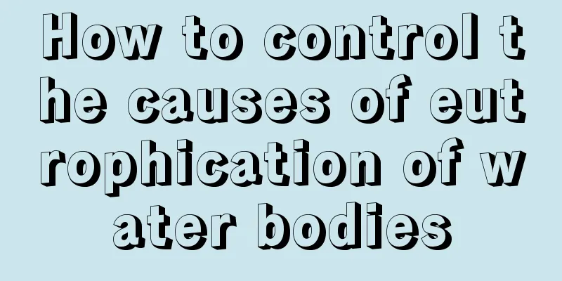 How to control the causes of eutrophication of water bodies
