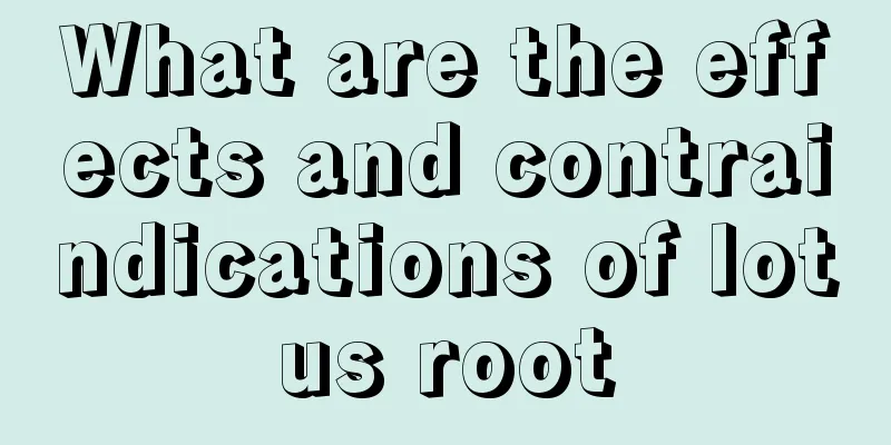 What are the effects and contraindications of lotus root