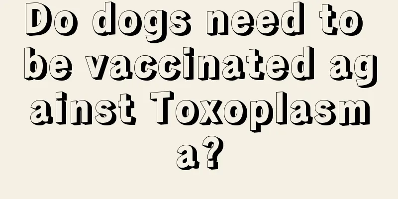 Do dogs need to be vaccinated against Toxoplasma?