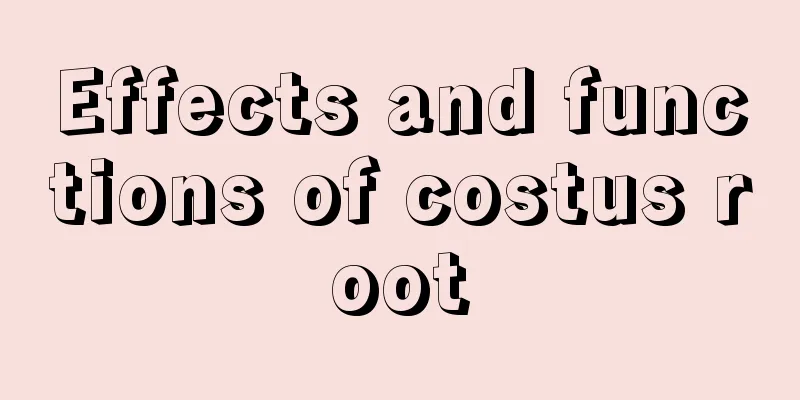 Effects and functions of costus root