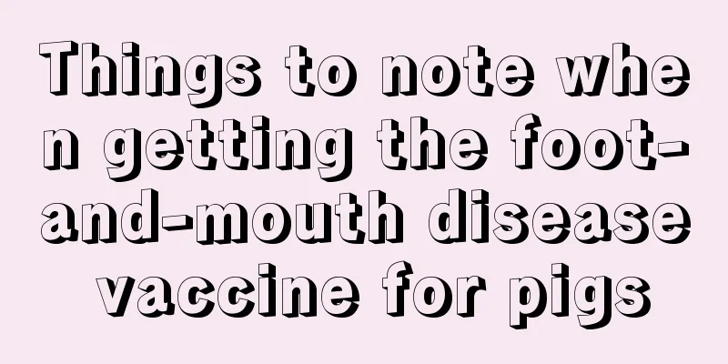 Things to note when getting the foot-and-mouth disease vaccine for pigs