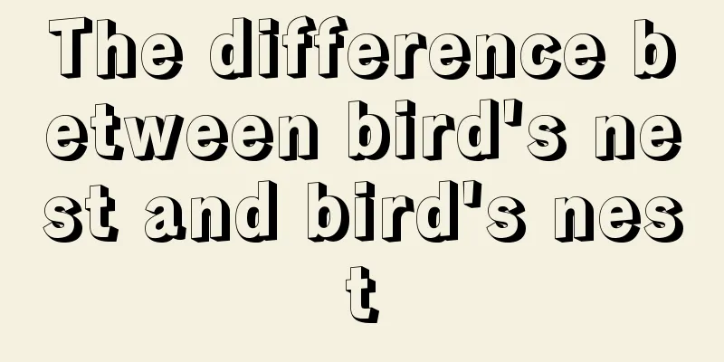 The difference between bird's nest and bird's nest