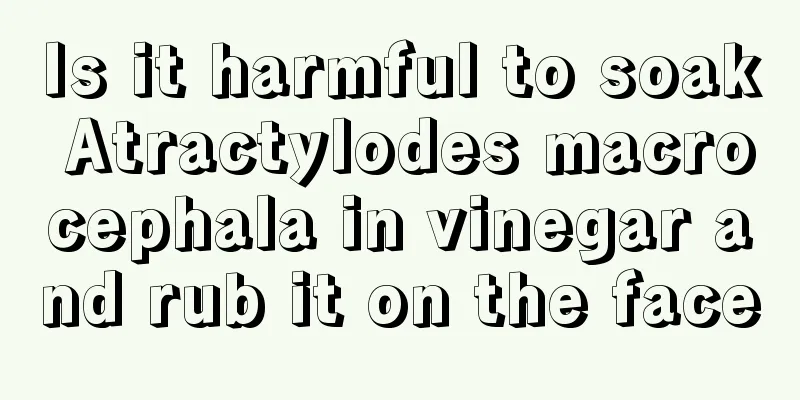 Is it harmful to soak Atractylodes macrocephala in vinegar and rub it on the face