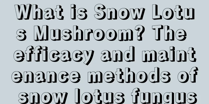 What is Snow Lotus Mushroom? The efficacy and maintenance methods of snow lotus fungus
