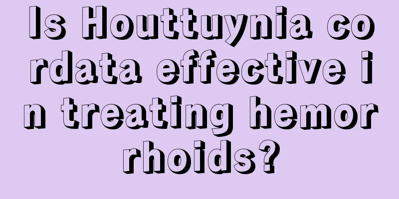 Is Houttuynia cordata effective in treating hemorrhoids?