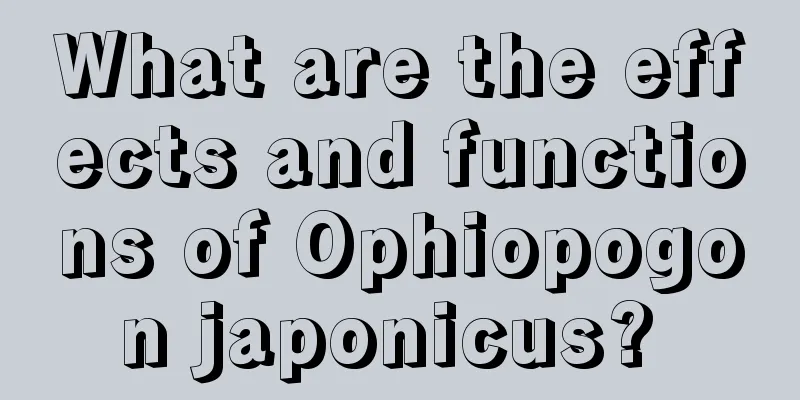 What are the effects and functions of Ophiopogon japonicus? 