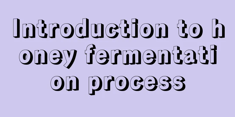 Introduction to honey fermentation process