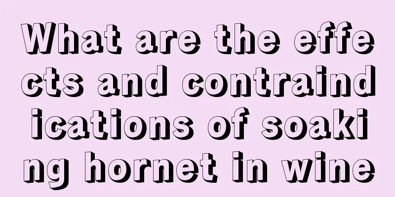 What are the effects and contraindications of soaking hornet in wine