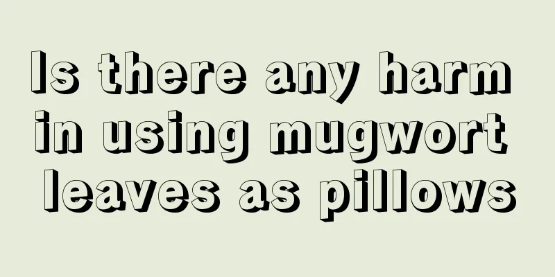 Is there any harm in using mugwort leaves as pillows