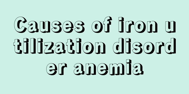 Causes of iron utilization disorder anemia