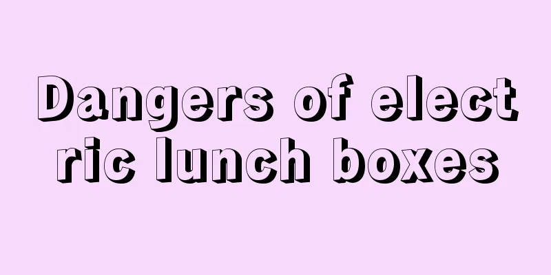 Dangers of electric lunch boxes