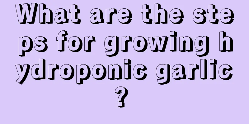 What are the steps for growing hydroponic garlic? 