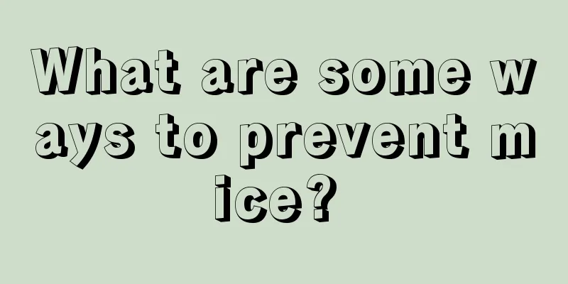 What are some ways to prevent mice? 