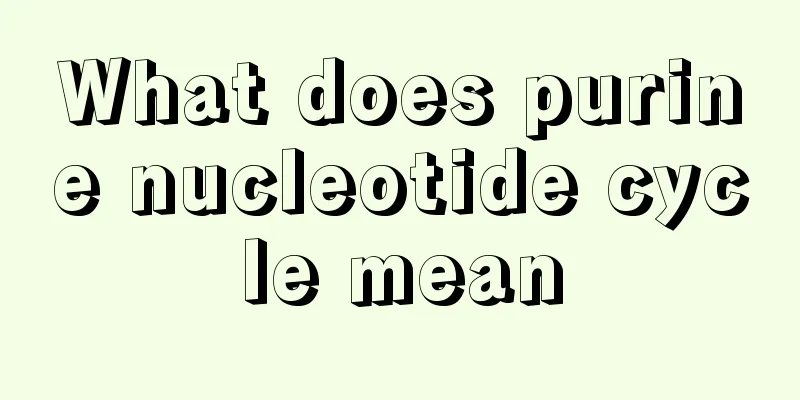 What does purine nucleotide cycle mean