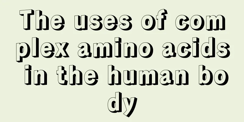 The uses of complex amino acids in the human body