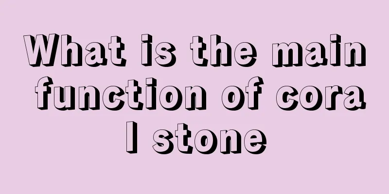 What is the main function of coral stone