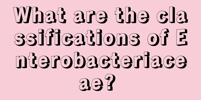 What are the classifications of Enterobacteriaceae? 