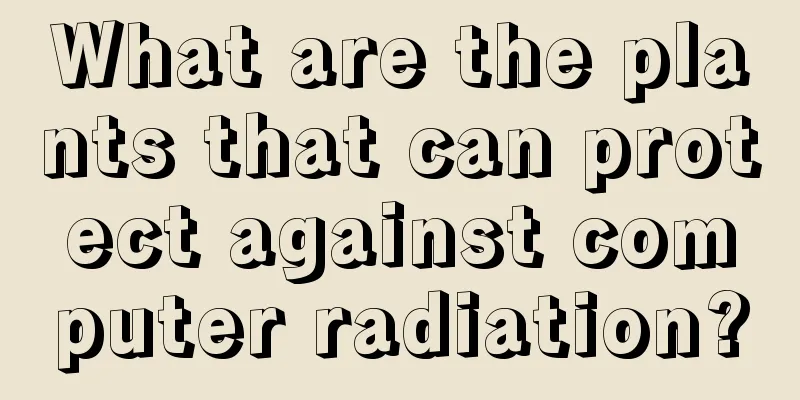 What are the plants that can protect against computer radiation?