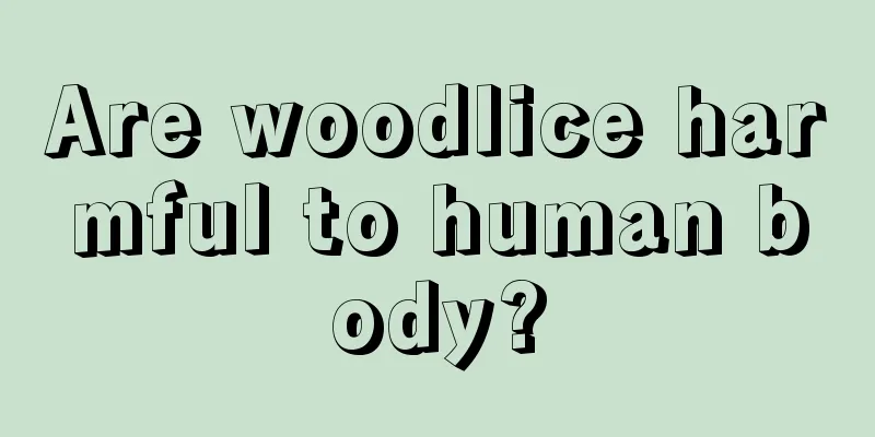 Are woodlice harmful to human body?