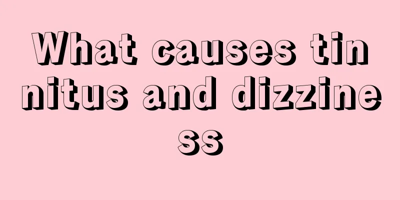 What causes tinnitus and dizziness