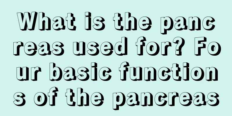 What is the pancreas used for? Four basic functions of the pancreas